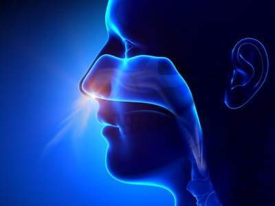 Nasal123